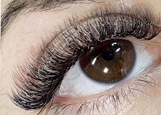 VOLUME LASHES VOLUME LASHES